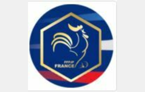 Calendrier des championnats de France 2021 (publié le 16/04/21)