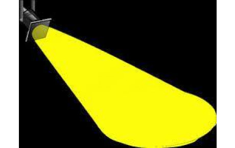 Bien présents sur tous les terrains (publié le 1/2/2026)